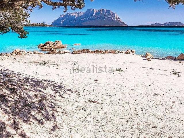 Appartamento in vendita a San Pantaleo