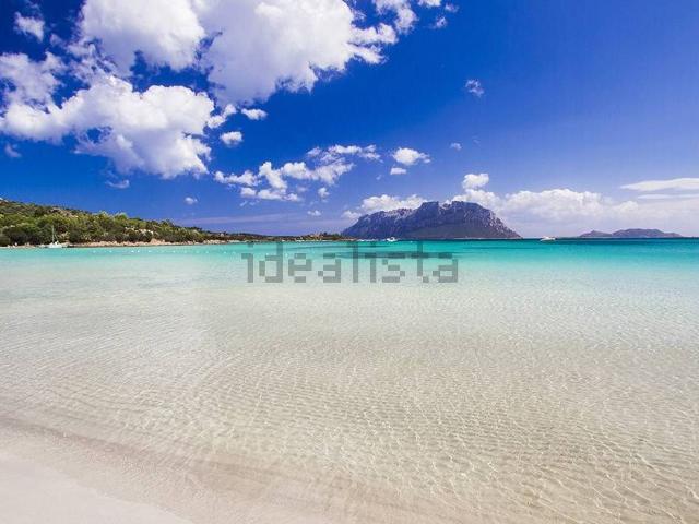 Appartamento in vendita a San Pantaleo, Sardigna/Sardegna