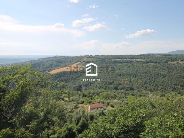 Appartamento in vendita a Penna In Teverina, Umbria