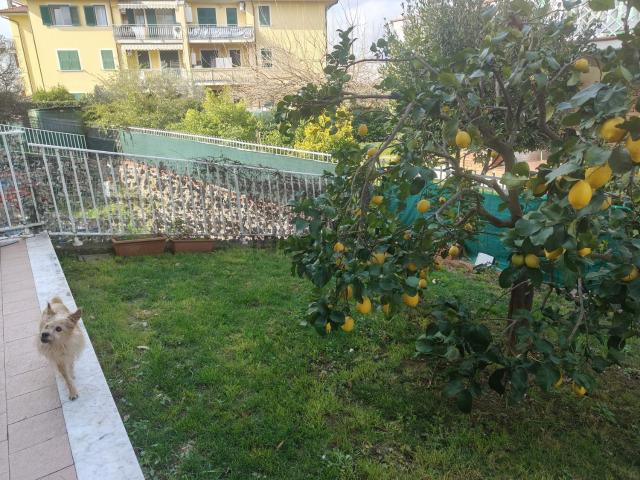 Appartamento in vendita a Ponzano Magra, Santo Stefano Di Magra