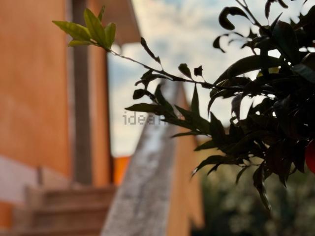 Attico in vendita a Nuova Florida, Roma Capitale