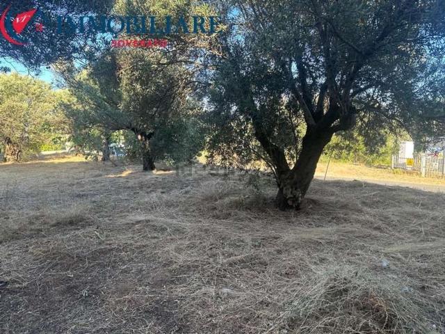Appartamento in vendita a Calabria, Catanzaro
