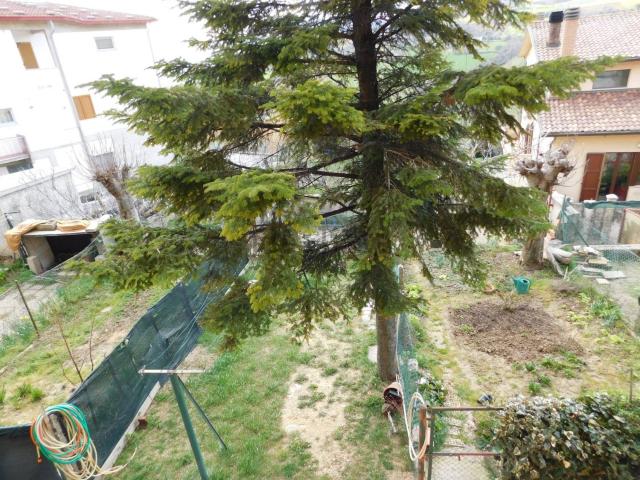 Appartamento in vendita a Marche, Ancona