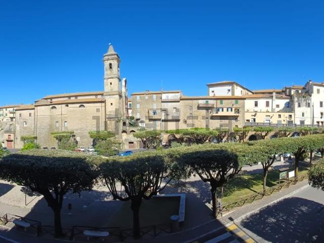 Appartamento in vendita a Farnese, Lazio
