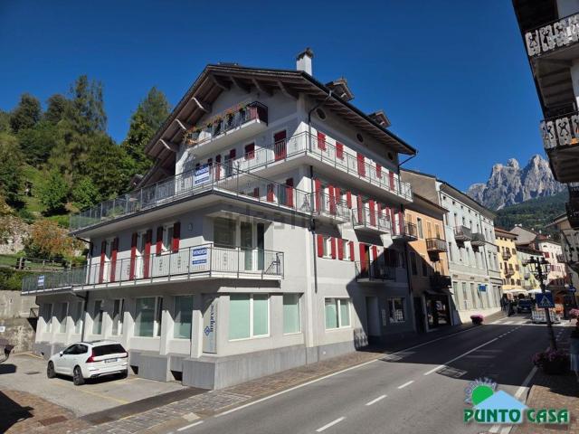 Appartamento in vendita a Pieve, Primiero San Martino di Castrozza