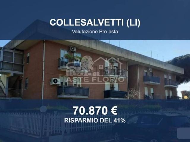 Appartamento in vendita a Collesalvetti, Toscana