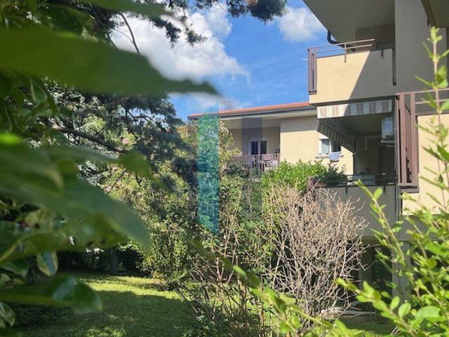Appartamento in vendita a Dorotina, Mozzo