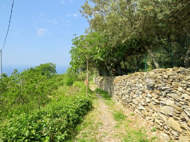 Appartamento in vendita a Levante, Serra Riccò