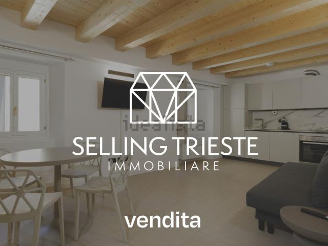 Appartamento in vendita a Città Nuova-Barriera Nuova-San Vito-Città Vecchia, Villa Opicina