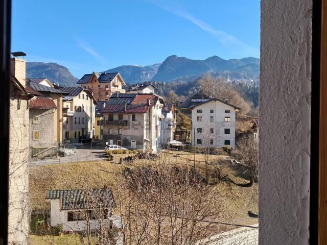 Appartamento in vendita a Lozzo Di Cadore, Veneto