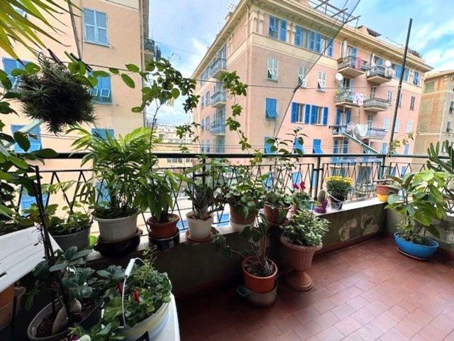 Appartamento in vendita a Centro Ovest, Serra Riccò