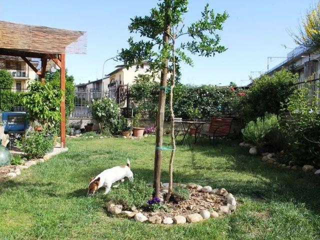 Appartamento in vendita a Pratale, Allerona