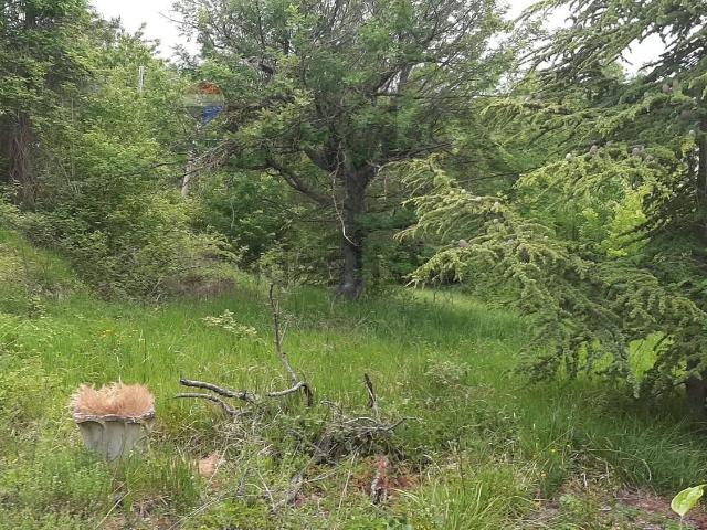 Appartamento in vendita a Colli, Corvara