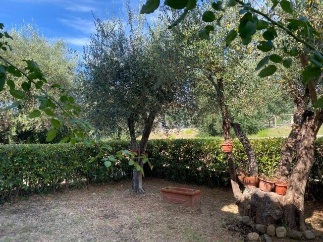 Appartamento in vendita a Magliano In Toscana, Toscana