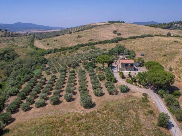 Appartamento in vendita a Orbetello, Toscana