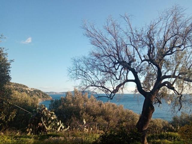 Appartamento in vendita a Pisciotta, Campania