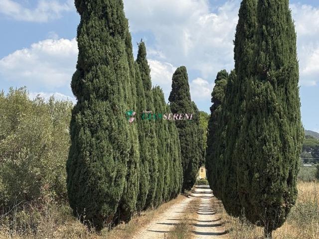 Appartamento in vendita a Campiglia Marittima, Toscana