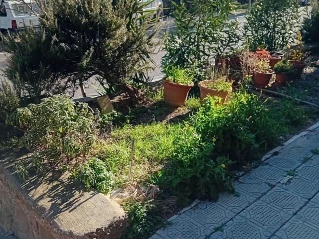 Appartamento in vendita a Cinigiano, Toscana