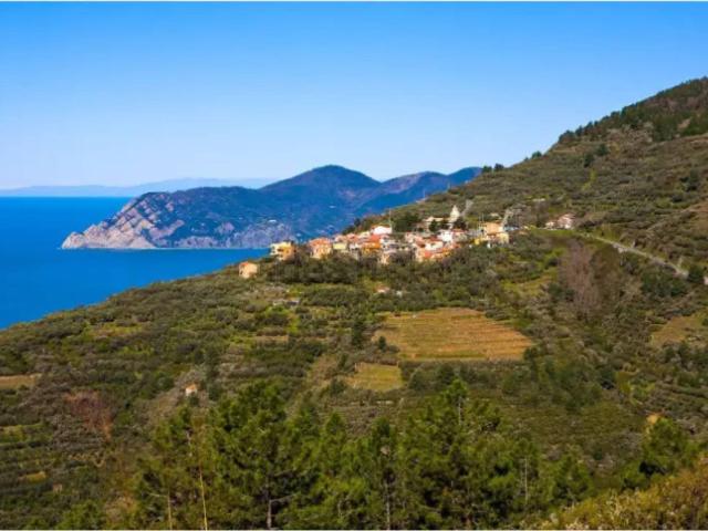 Appartamento in vendita a Riomaggiore, Liguria