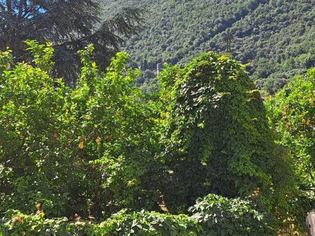 Appartamento in vendita a Finale Ligure, Liguria