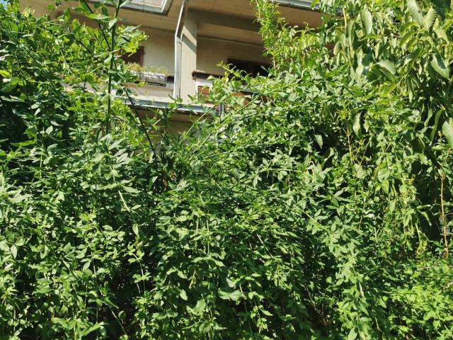 Appartamento in vendita a Macciano, Chiusi Città