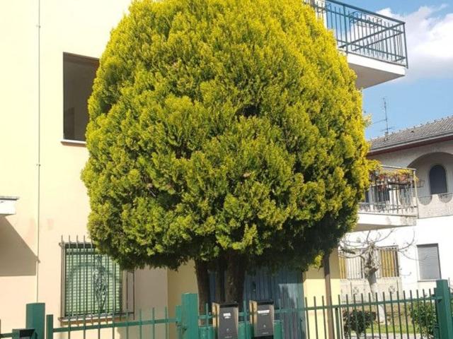 Appartamento in vendita a Ponso, Veneto