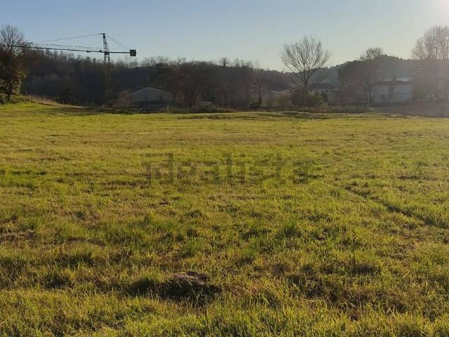 Appartamento in vendita a Fauglia, Toscana