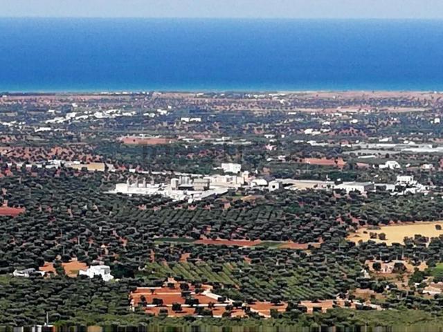 Attico in vendita a Selva, Puglia