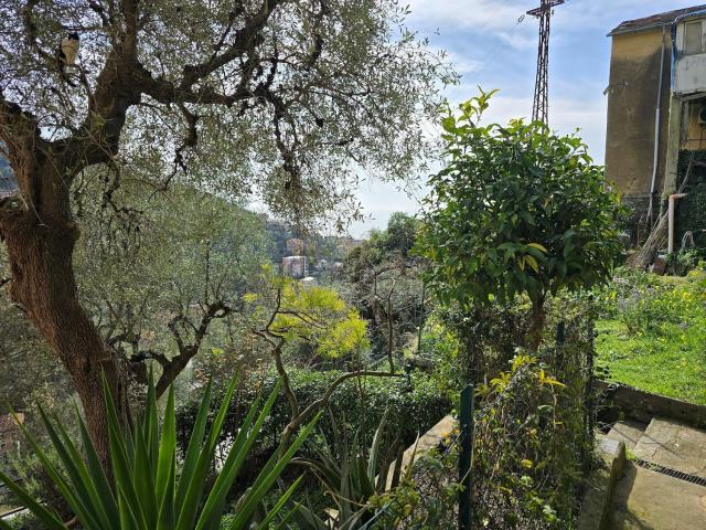 Appartamento in vendita a Zoagli, Liguria