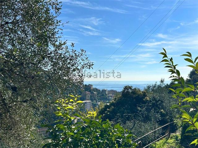 Appartamento in vendita a Zoagli, Liguria