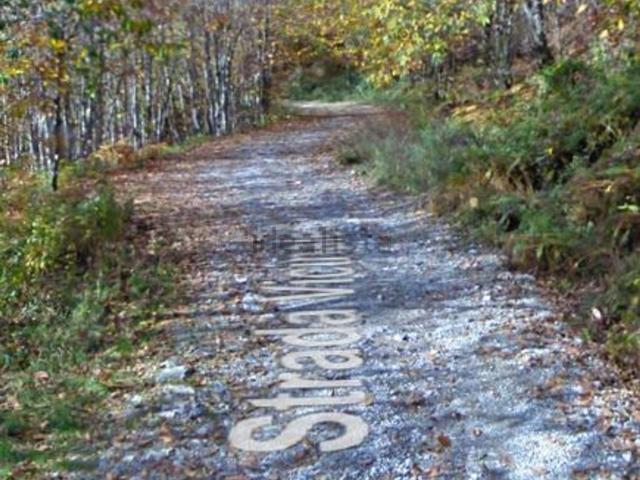Appartamento in vendita a Margine di Momigno, Marliana