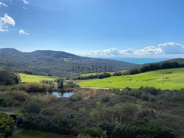 Appartamento in vendita a Rosignano Marittimo, Toscana