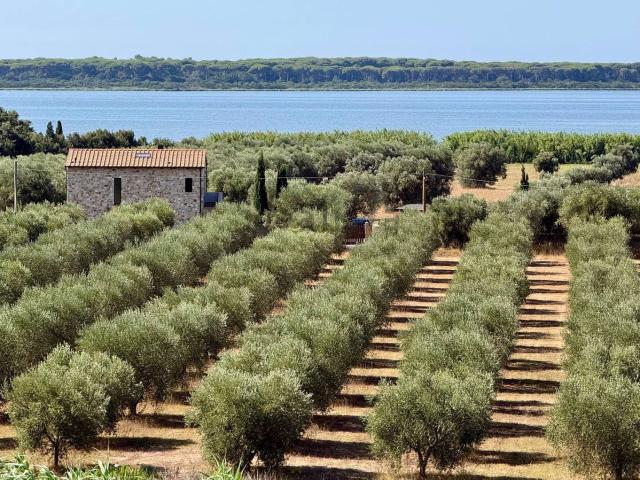 Appartamento in vendita a Orbetello, Toscana