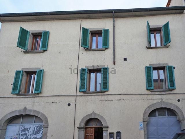 Appartamento in vendita a Unione dei Comuni Montani Amiata Grossetana, Castel Del Piano