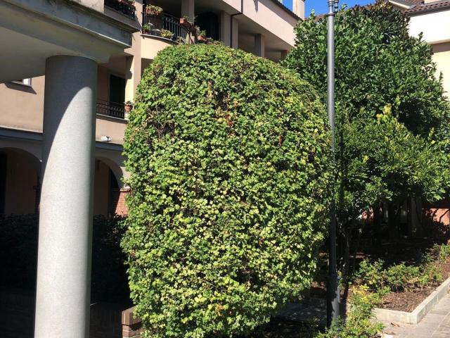 Appartamento in vendita a Villa Fiorita, Cassina De' Pecchi