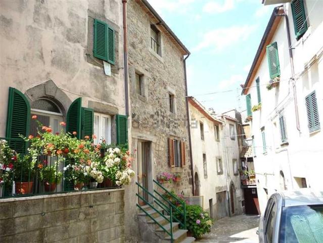 Appartamento in vendita a Unione dei Comuni Montani Amiata Grossetana, Castel Del Piano