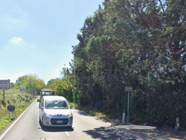 Appartamento in vendita a Valdiano, Nepi