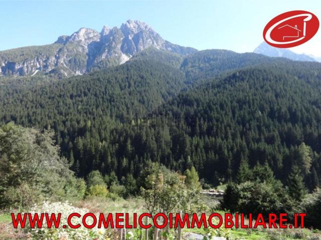 Appartamento in vendita a Valle, San Pietro Di Cadore