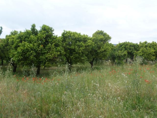Appartamento in vendita a Grassano, Basilicata