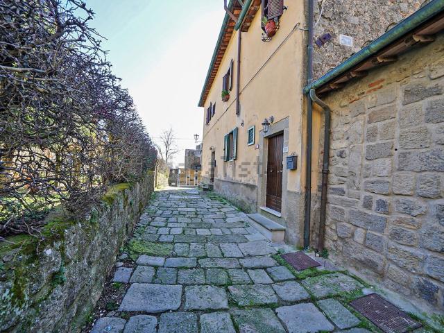 Appartamento in vendita a Unione dei Comuni Montani Amiata Grossetana, Santa Fiora