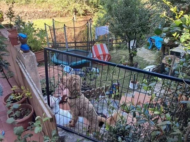 Appartamento in vendita a Cafaggio, Ameglia