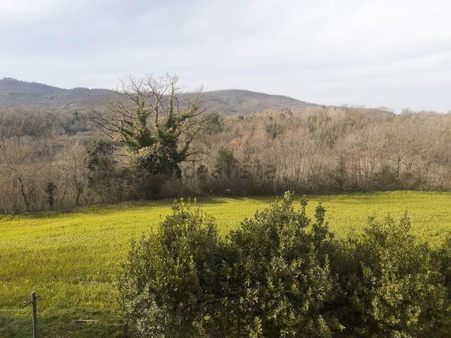 Appartamento in vendita a Vejano, Lazio