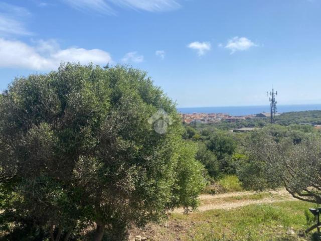 Appartamento in vendita a Stintino, Sardigna/Sardegna
