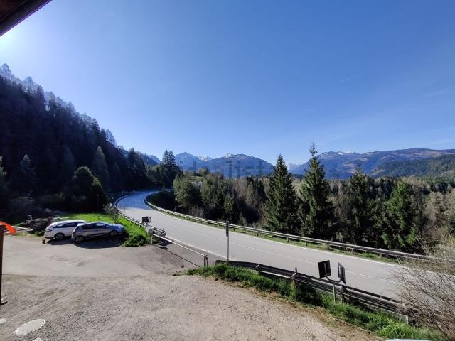 Appartamento in vendita a Comunità territoriale della Val di Fiemme, Carano