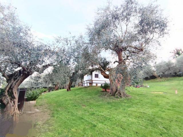 Appartamento in vendita a Castiglione Della Pescaia, Toscana