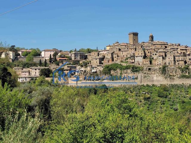 Appartamento in vendita a Civitella D'agliano, Lazio