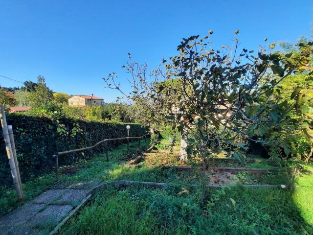 Appartamento in vendita a Guardistallo, Toscana