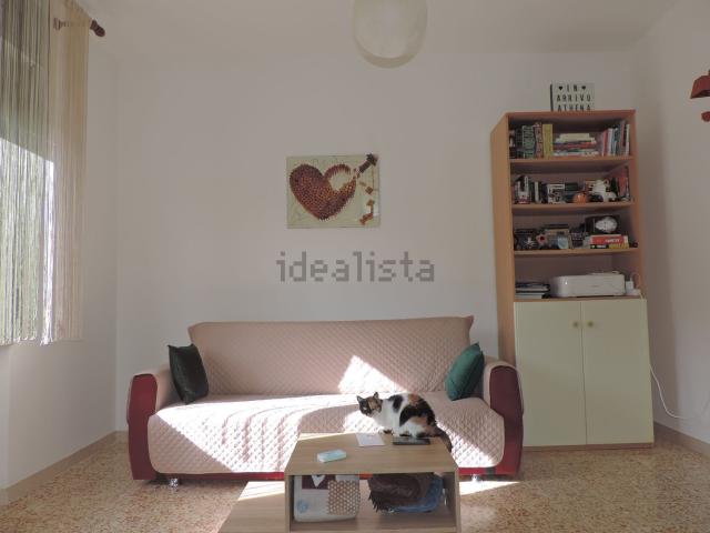 Appartamento in vendita a Bibbona, Toscana