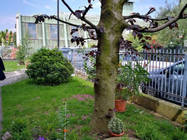 Appartamento in vendita a Grassobbio, Bergamo