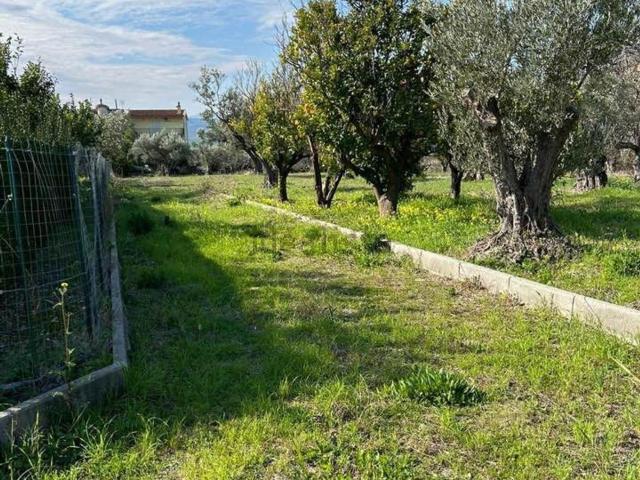 Appartamento in vendita a Calabria, Catanzaro
